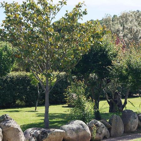 Les Jardins De Santa Giulia - Charmante Chambre D'Hote Porto-Vecchio  Ngoại thất bức ảnh